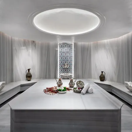 Crowne Plaza - Ortakoy Bosphorus By Ihg Szálloda 5*